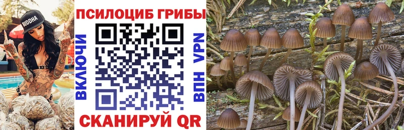 ОМГ ОМГ онион  Ачинск  Псилоцибиновые грибы ЛСД 